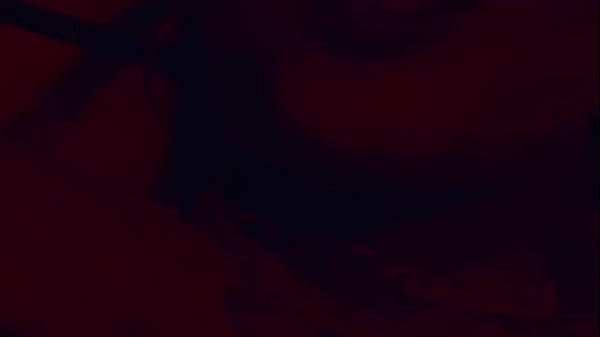 Estava andando de patins e chamei o gostoso para ma foder no pelo. Caroleta Roots / Loupan