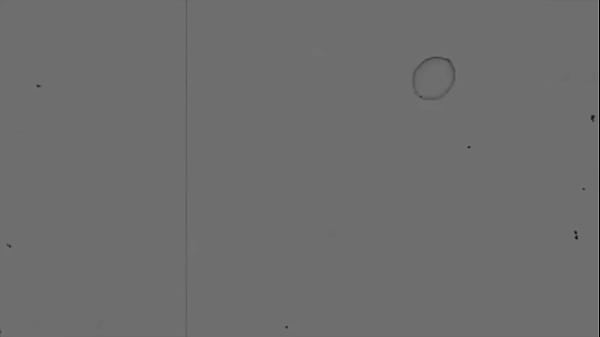 Jessica Starling Worships Dick Before Rubbing It To Her Vag