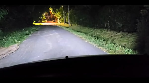 Mikadoors – update #4 – 1000208827 – May 29, 2025