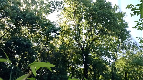 Public jerkoff at the park cum went everywhere hopefully nobody saw