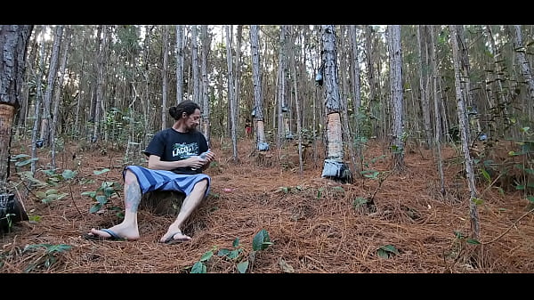 Será que foi um sonho? Completo no sheer