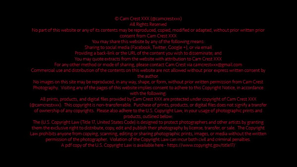 StepDad’s Cock and StepMom’s Cunt: A Forbidden Vacation