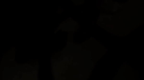 Cream Pie Orgy 11 (2009) – Scene 1