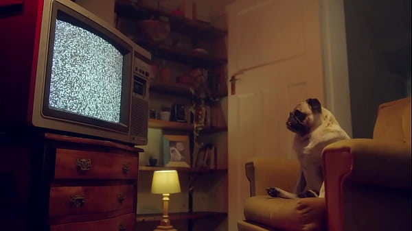 Green-eyed blonde – Lily Bell sucks my cock like a filthy little slut | Benefit Monkey