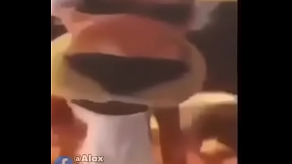 Que buen Momo papu :V