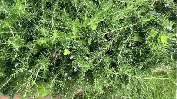 パート1【Jカップ超爆乳肉弾SEX】おっぱい好き必見の爆乳娘参上！